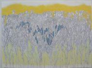 Field, mixed media on paper, 78x51cm